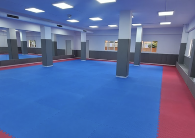 BTS barcelona taekwondo starclass