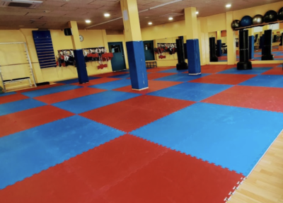 Club De Taekwondo Jan su Figueres