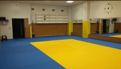 ESCUELA DE JUDO SONIA GERBOLES