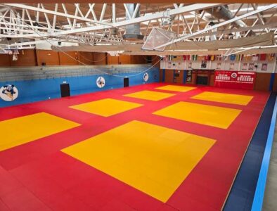 Federación Madrileña de Judo