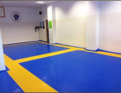Club de Judo Enrique Palacios