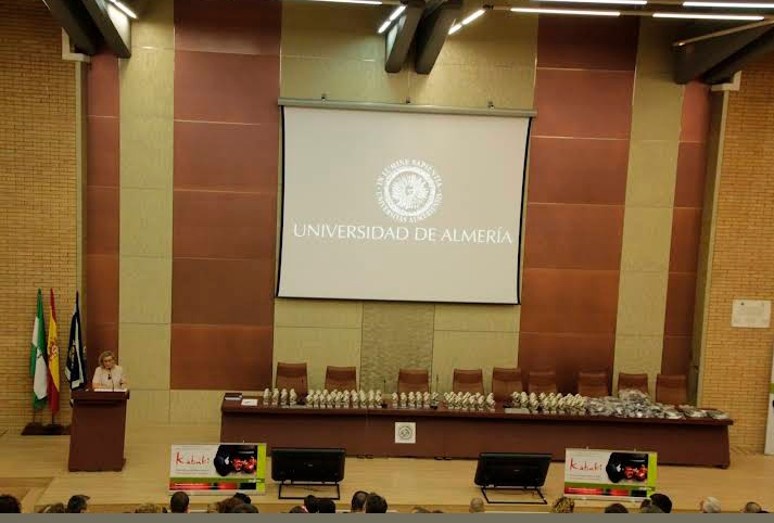 Alianza KSV - Escuela de Judo en Almería