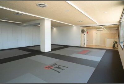 Karate Seijaku