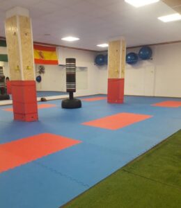 club de karate jesus guerrero