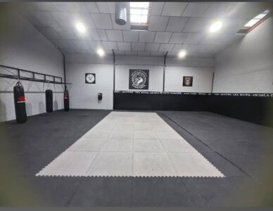 Escuela de Lucha Ragnarök