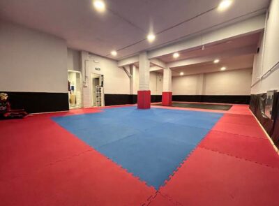 MENKAI BJJ ENKARTACIONES