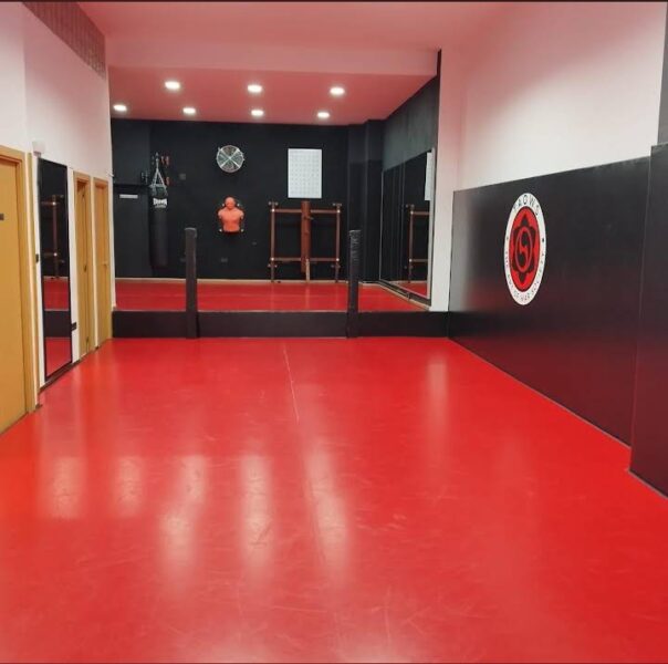 TAOWS Academy Granada (Wing Chun, BJJ, Defensa Personal Infantil).