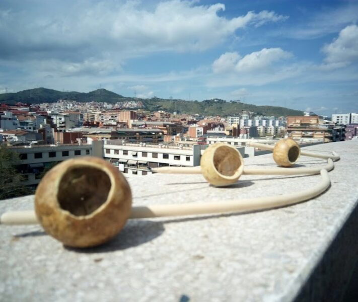 Capoeira Senzala Barcelona Associació Cultural