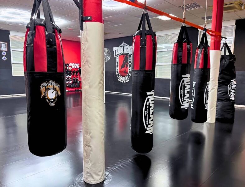Gym Team Alves - Gimnasio boxeo bjj kickboxing taekwondo en Zaragoza