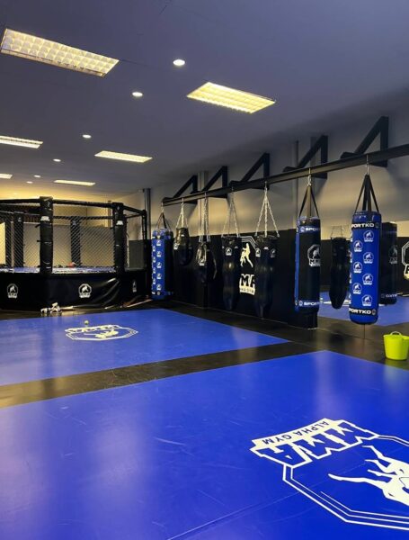Alpha Gym MMA