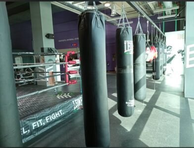 The Boxer Club El Ingenio