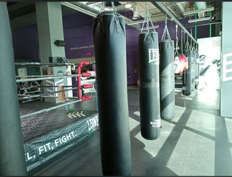 The Boxer Club El Ingenio