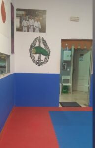 Krav Maga, Taekwondo. Dojo Hajime
