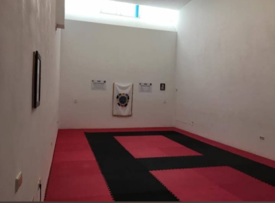 TaeKwon-Do ITF Marbella