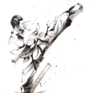 Hugo Kan Karate