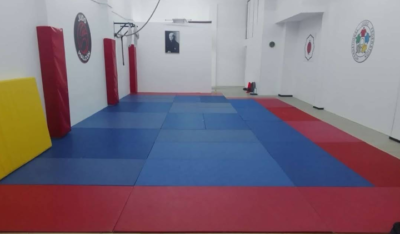 Judo Halcón