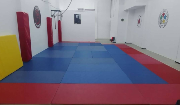 Judo Halcón