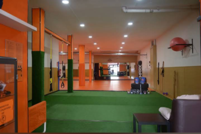 LION FIGHTERS MMA - Artes Marciales Mixtas, Boxeo, Kick boxing, Grappling, Defensa personal.