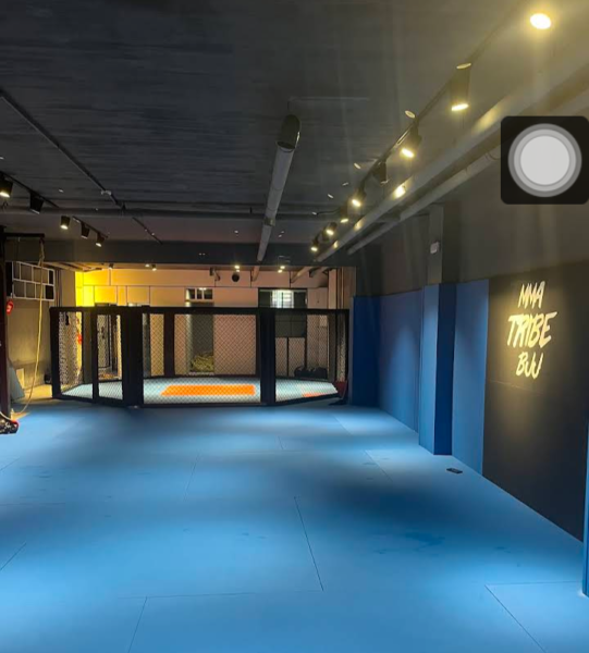 MMA TRIBE GYM