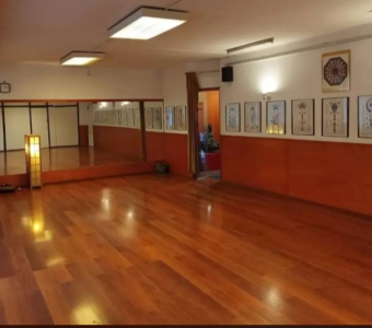 Instituto de Wu Shu