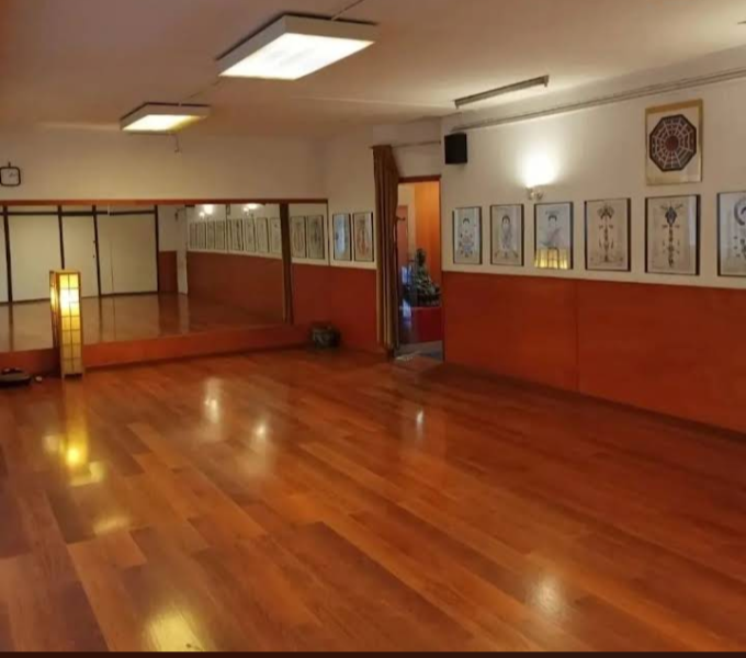 Instituto de Wu Shu