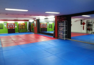 Escuela de Wushu / Kung-Fu Tradicional de Vila-real, Escuela Internacional de Wushu y Cultura China Luoan Wong.