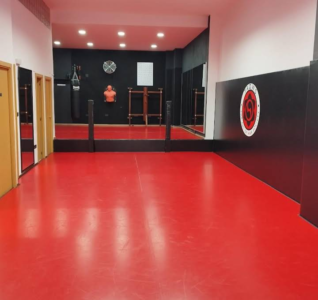 TAOWS Academy Granada (Wing Chun, BJJ, Defensa Personal Infantil).