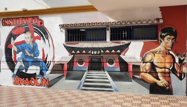 INSTITUTO SHAOLIN CHAN SAN PEDRO
