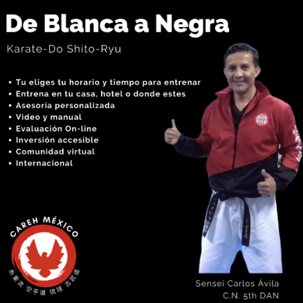 curso-karate-do-online Curso de boxeo sobre cortar peso para amateur<br />