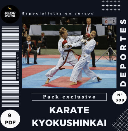 curso-karate-pdf-online Curso de boxeo en casa: Box en Casa<br />