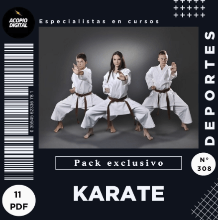 curso-karate-pdf Curso de boxeo "El Arte del Boxeo"